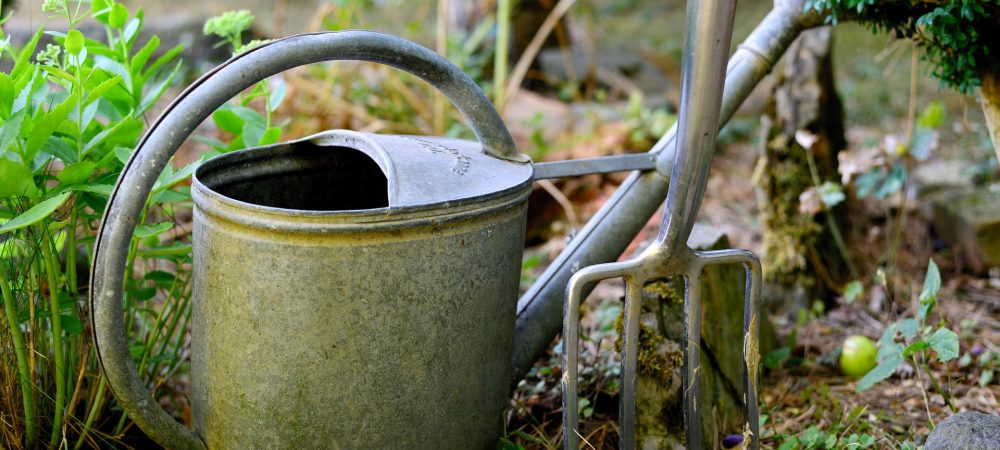 watering-can-3630281_1920